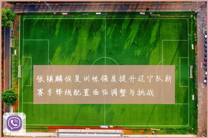 张镇麟恢复训练强度提升辽宁队新赛季锋线配置面临调整与挑战